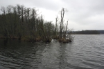 Insel im Bereich Götschendorf. Hier ist es flacher, als im restlichen Teil des Sees, aber der Boden ist viel strukturierter. Es gibt immer wieder kleine Barschberge. Die Engstellen an beiden Insel bieten auch interessante Angelstellen.