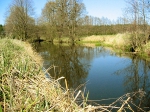Das Havelufer im Frühjahr